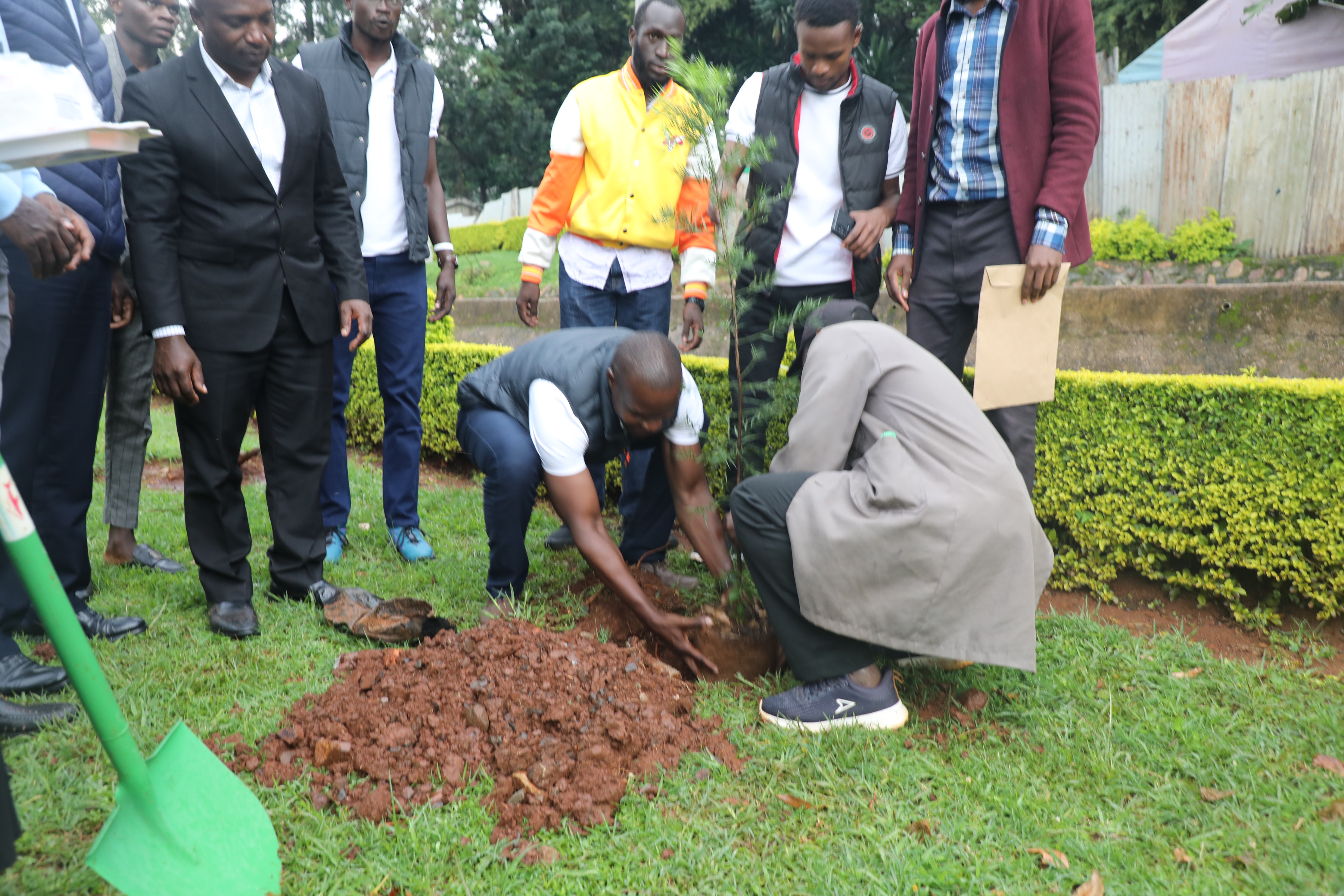 tree planting