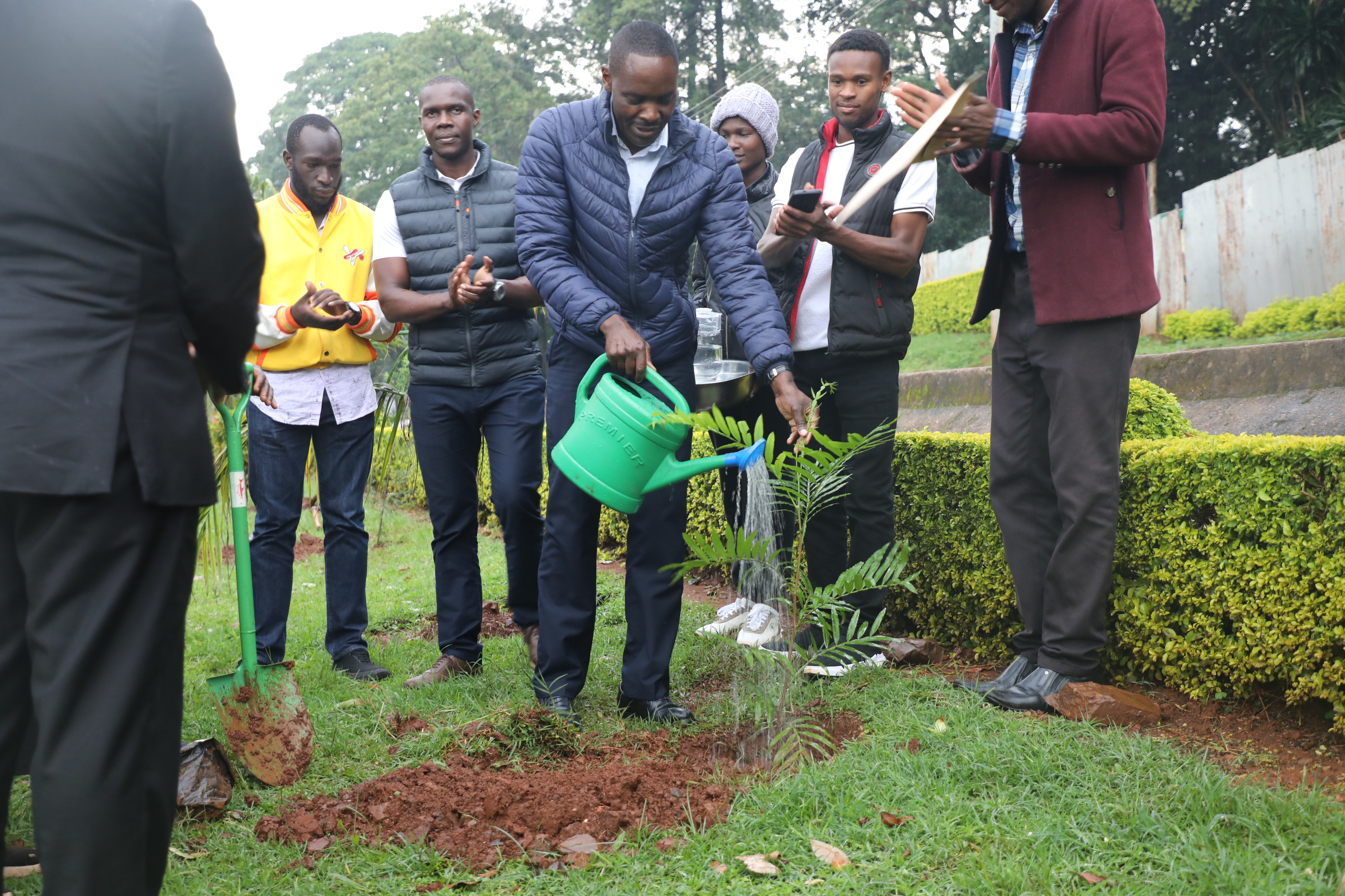 Dp Admin Planting tree
